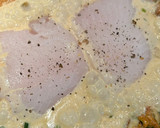 Foto del paso 5 de la receta: Fletán (halibut) con rebozuelos (cantarelas)