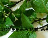 மணத்தக்காளி கீரை (பாலக்) கூட்டு (manathakkali keerai kootu recipe in tamil) ரெசிபி ஸ்டேப் 1 புகைப்படம்