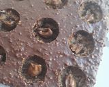 Une image de l'étape 14 de ☆Poke Cake Carrément Noisette☆.