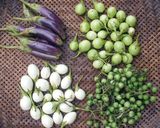 Foto del passaggio 12 della ricetta 15 • Curry verde tailandese 🇹🇭