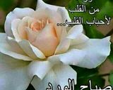 صورة لخطوة 6 من وصفة بيتزا الشوفان السائلة بالمقلاة 😙رووووعة 💯