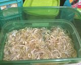 Foto langkah ke 2 dari resep Bihun Goreng Ayam Toge.