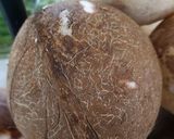 Foto langkah ke 1 dari resep Minyak kelapa home made hemat waktu dan gas.