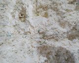 Foto langkah ke 1 dari resep Stick Bawang / Keripik Bawang.