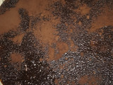 طورطة الطبقات
