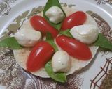Foto del paso 4 de la receta: Pan pita mediterráneo 3 (clásico)