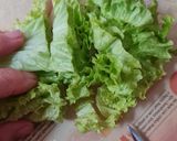 Foto del paso 1 de la receta: Ensalada mixta en Argentina 🥬 🍅 🧅 Ensalada de lechuga, tomate y cebolla, un clásico argento 🇦🇷