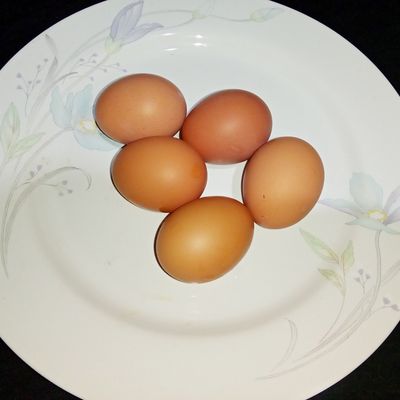Langkah 2
