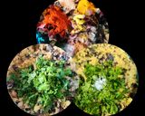 A picture of step 3 of Lal Saag Mix Dal Vada.