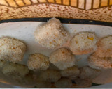 சீஸி கார்ன் பொட்டேட்டோ நக்கட்ஸ் ரெசிபி ஸ்டேப் 8 புகைப்படம்