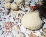 Pas rețetă Pâine sârbească 3 fotografie