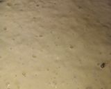 A picture of step 3 of Bandashen gurasa🤤.