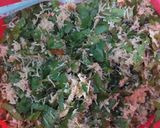 Foto langkah ke 3 dari resep Botok daun so+teri.