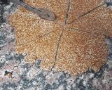 A picture of step 3 of Chikki.