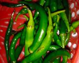 A picture of step 1 of Hari chutney😋.