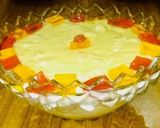 A picture of step 17 of Trifle.