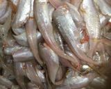 Hình bước làm 1 của món Chả cá lành canh