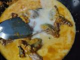 Rendang gulai ayam padang