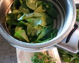 Sóska eltevése télire recept fázis 1 fotója