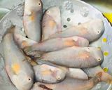 Hình bước làm 1 của món Cá mó chiên