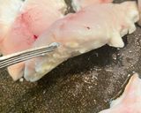 A picture of step 6 of Poiret de gurnard.