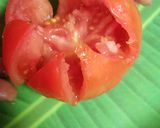 A picture of step 1 of Tamatar chat.