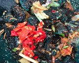 Foto langkah ke 4 dari resep Paru Balado.