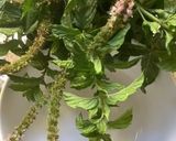 Une image de l'étape 4 de 🥑Guacamole 🫛petit pois ail des ours 🫒oseilles 🌶️.
