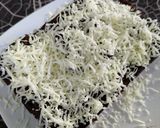 Foto langkah ke 6 dari resep Brownies beng-beng kukus.