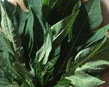 Foto langkah ke 1 dari resep Telur Gulung Daun Pepaya (tidak pahit).