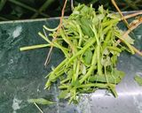 A picture of step 1 of Kalmi saag (Water Spinach).