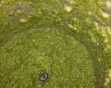 मेथी की चटपटी चटनी (Methi ki Chatpti chutney recipe in hindi) रेसिपी चरण 4 फोटो