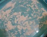 Foto langkah ke 2 dari resep Bubur candil/ biji salak.