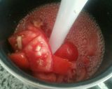 Foto del paso 4 de la receta Gazpacho de sandía