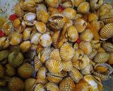 Foto langkah ke 3 dari resep Kerang Dara Saus Padang.
