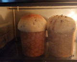Foto del paso 9 de la receta: Pan dulce con chips de chocolate casero