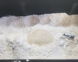 Foto del paso 2 de la receta: Masa integral para pizza en panificadora