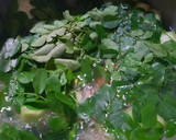 Foto langkah ke 3 dari resep Sayur Daun Kelor.