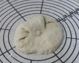 A picture of step 5 of Aromatic Poppy Seed Hard Rolls.