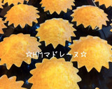 A picture of step 9 of Madeleines.
