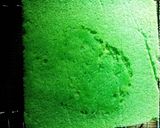 Foto langkah ke 4 dari resep Cake pandan wangi by indri kesuma romi recepi.
