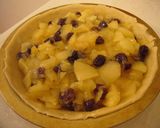 A picture of step 6 of Egg & Dairy Free Creamy Easy Apple Pie.