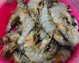 Foto langkah ke 1 dari resep Udang Goreng Mentega no ribet.