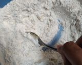 Foto langkah ke 2 dari resep Pastel Tanpa Telur Dan Tanpa Margarin.