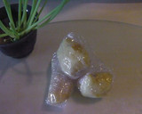 A picture of step 3 of How To Preserve Ginger in the Freezer.