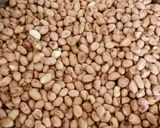 A picture of step 3 of Khandeshi Mirchicha Thecha (Hot and Spicy).
