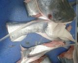 Foto del paso 1 de la receta: Caldo de bagre