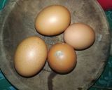 Foto langkah ke 1 dari resep Telur Dadar Abon Ikan.