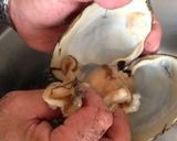 A picture of step 5 of Surf Clam Sashimi - How to Peel, Prepare and Blanch.