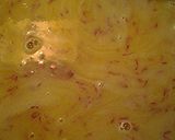 A picture of step 3 of Sausage and buttery saffron rice.